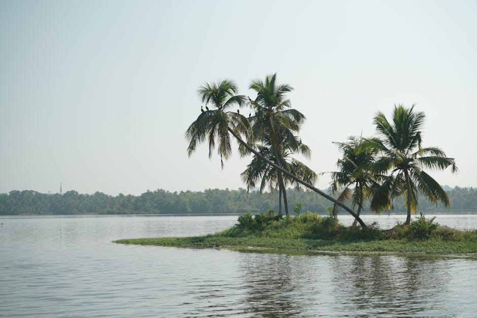 Scenic view of Kerala Backwaters